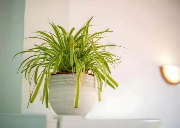 Precioso Bon Repos 9 Cala'N Bosch (Menorca)